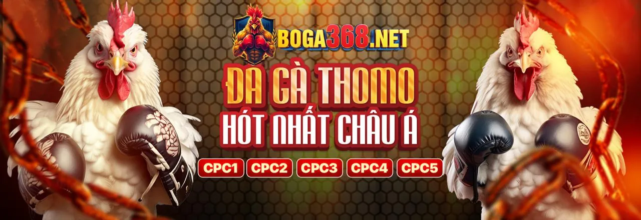 Đá gà trực tuyến kịch tính tại rrr88 app